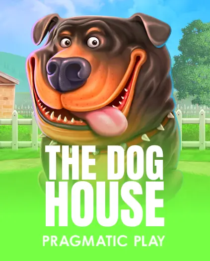 Casino game at Thrills Casino